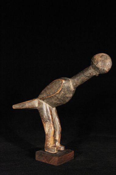 Lobi Bird
