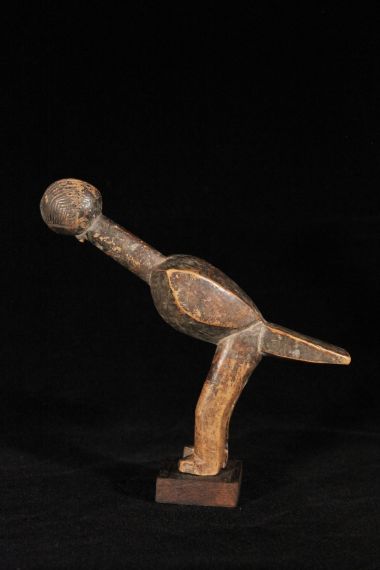Lobi Bird