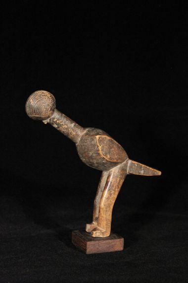 Lobi Bird
